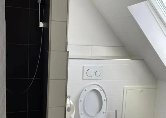 Gruener Baum Hotel Schömberg